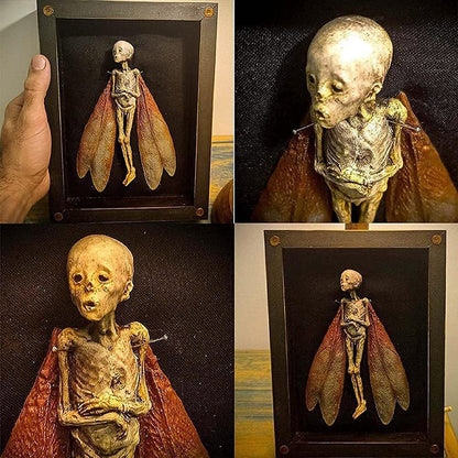 Handcrafted Mummified Fairy Display