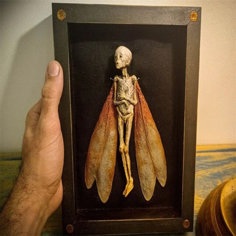 Handcrafted Mummified Fairy Display