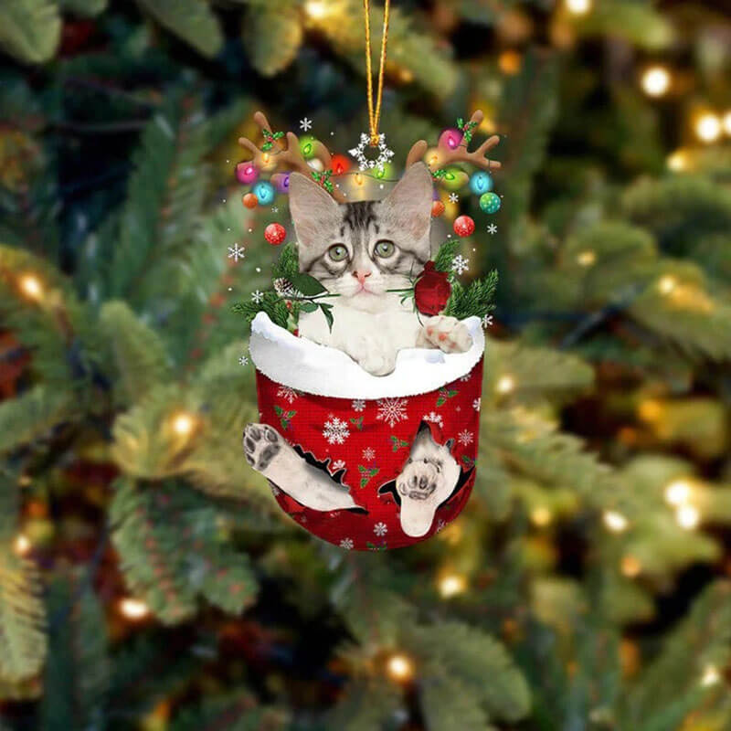 Turkish Angora Cat In Snow Pocket Christmas Ornament SP112