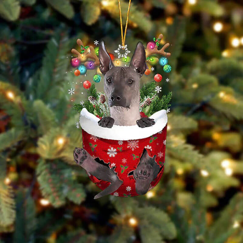 Xoloitzcuintli In Snow Pocket Christmas Ornament SP289