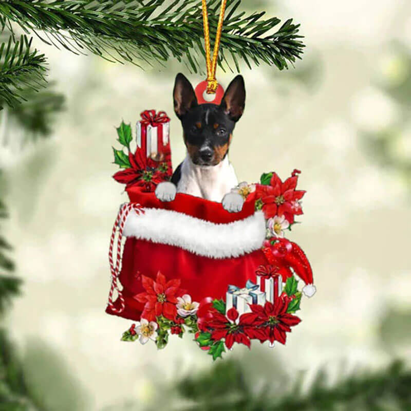 Rat Terrier In Gift Bag Christmas Ornament GB008