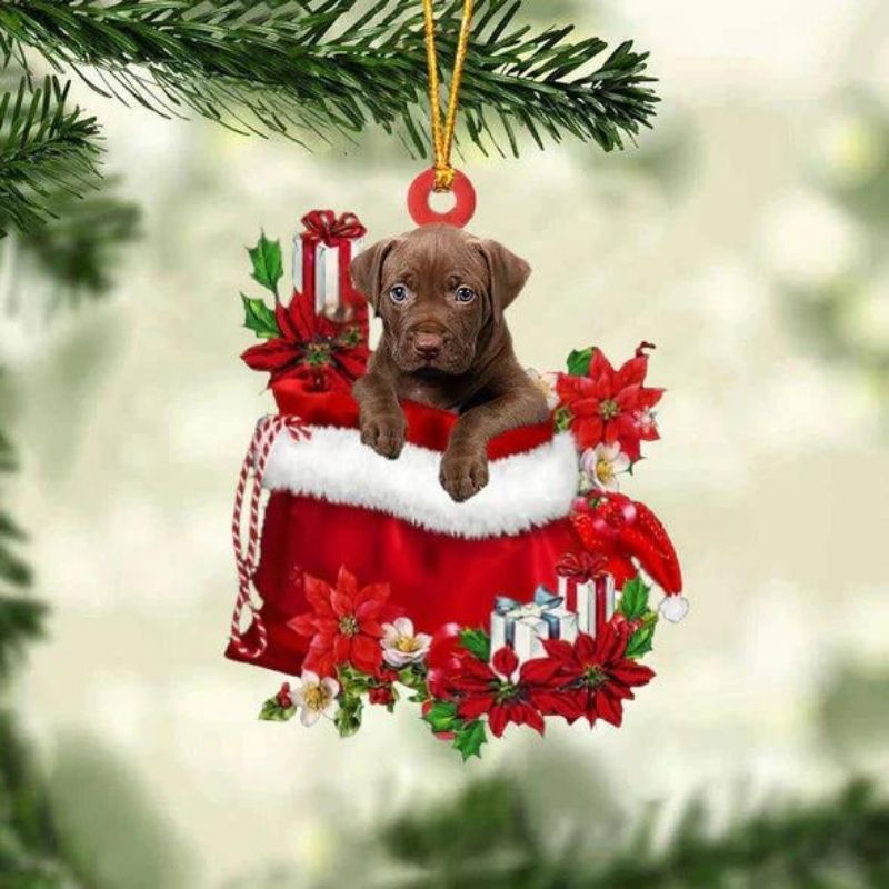 Pit Bull In Gift Bag Christmas Ornament GB059